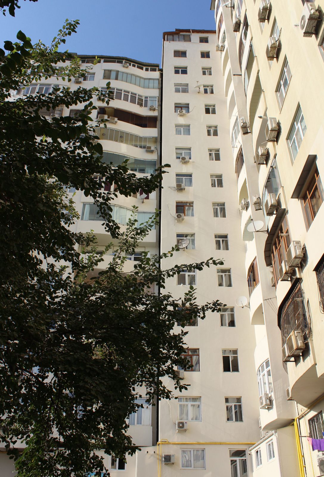 İbrahimpaşa Dadaşov(Bravo)