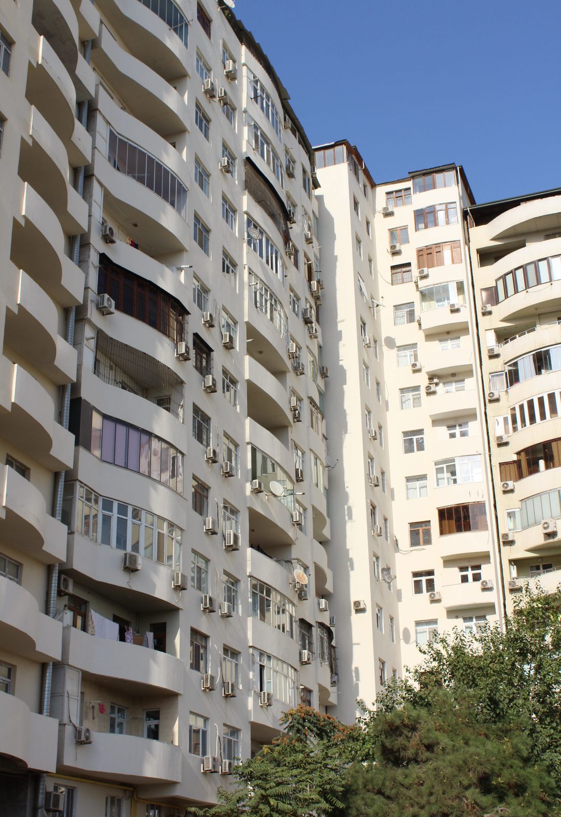 İbrahimpaşa Dadaşov(Bravo)
